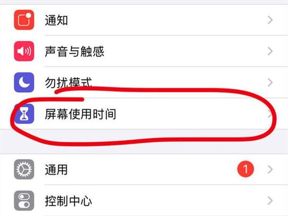 苹果手机里访问限制在哪儿