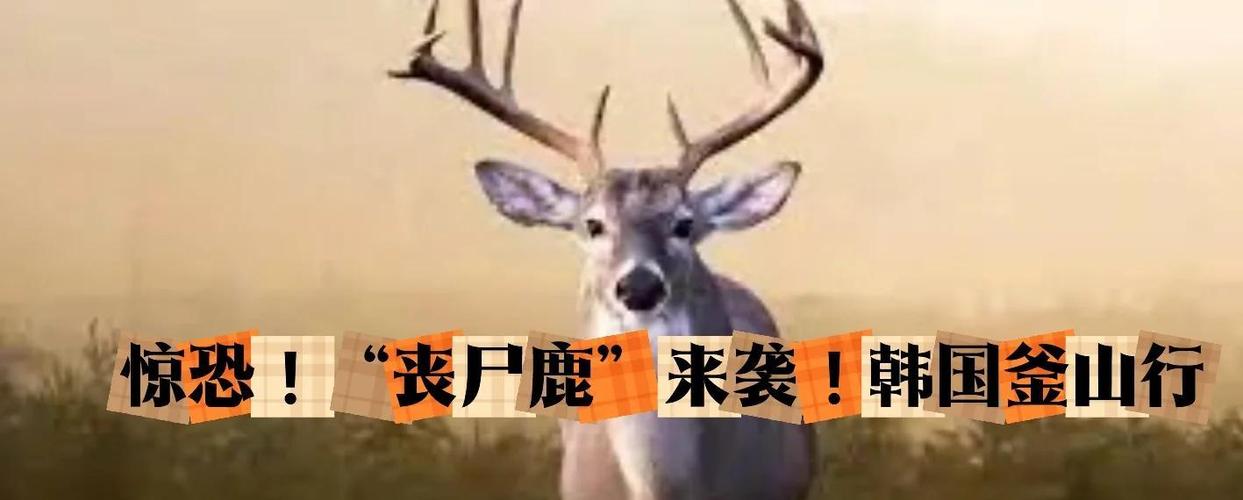 丧尸病的研究现状