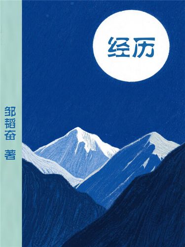 崔延刚在欧盟工作经历