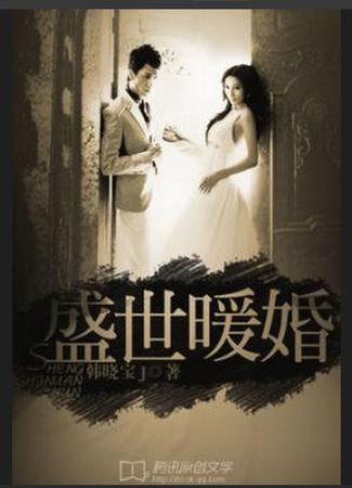 盛世暖婚:甜妻宠上天 小说缩略图