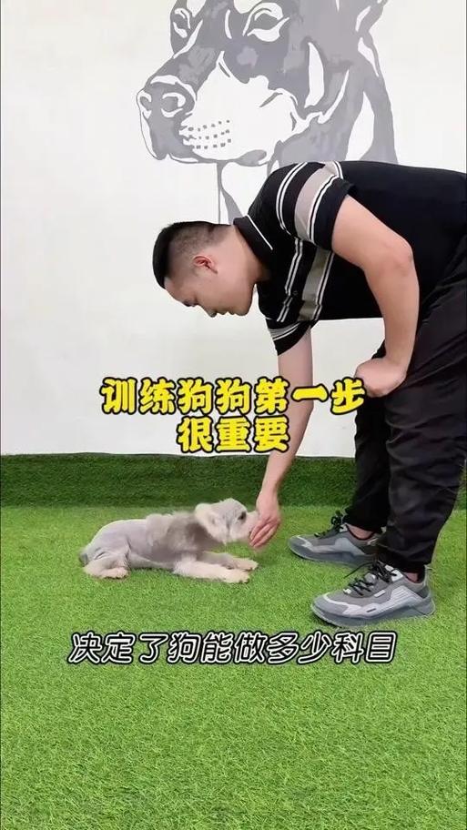 训狗标准手势图片