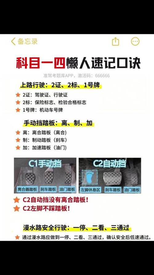 懒人驾考科目一科目四游戏截图