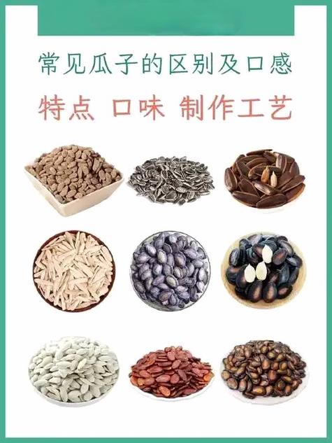 瓜子哪个品种好吃