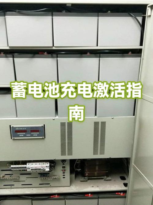 电动车搁置后充电恢复法截图