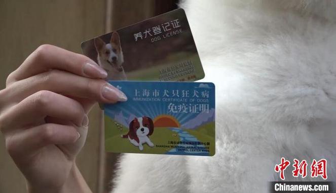 上海犬证办