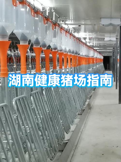 封闭式猪场打工的感受