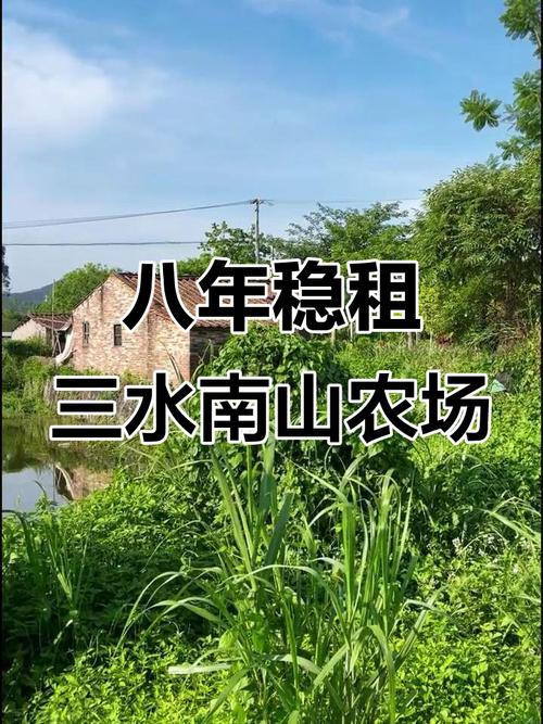 南山农场