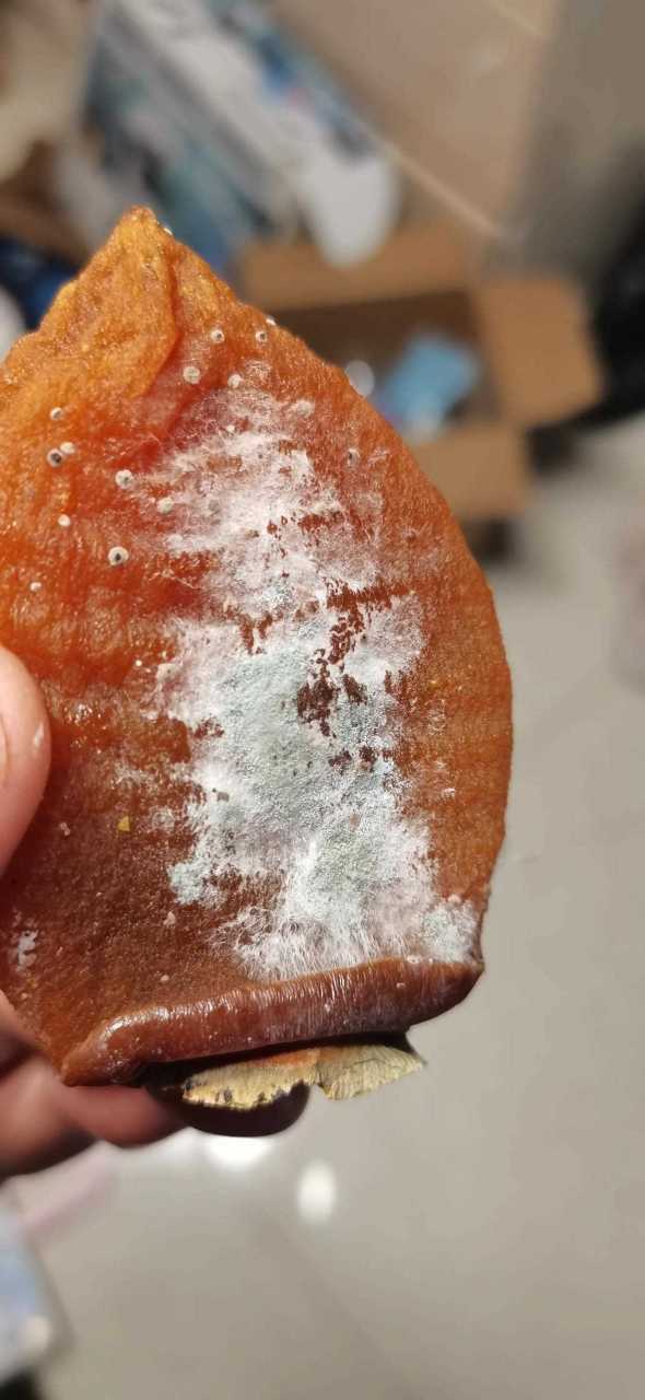 柿饼怎样算坏了图标