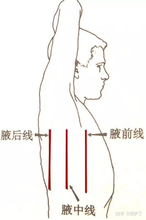 手机屏幕中间一条线缩略图