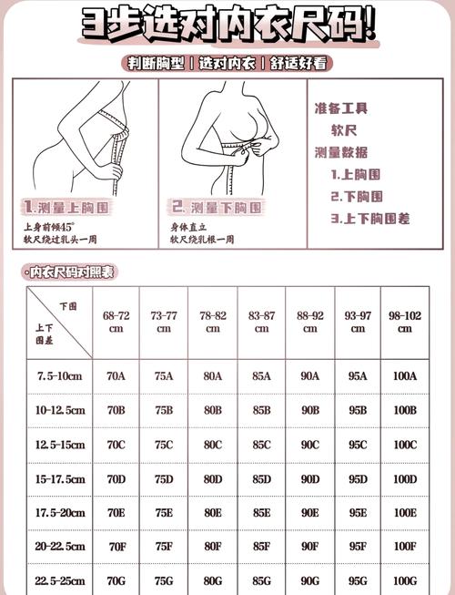 36胸罩是ABCD哪个