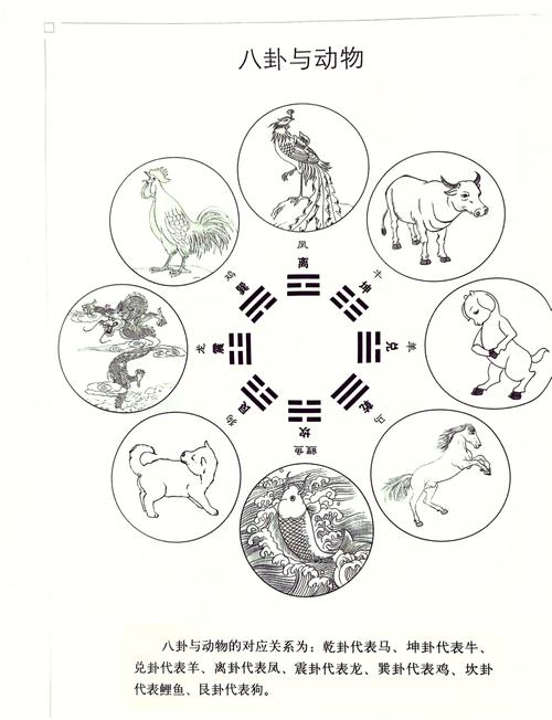 阴阳易位什么动物图标