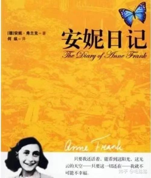 花季的安妮内容简介