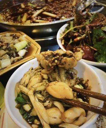 重庆芽儿哟是什么意思