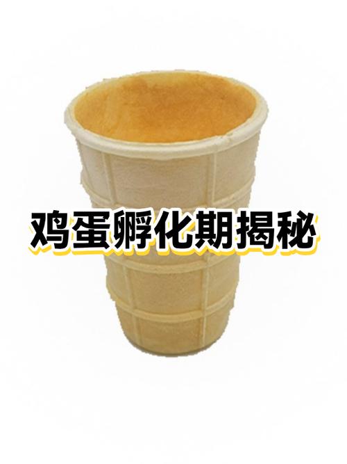 鸡蛋是公鸡孵化还是母鸡孵化游戏截图