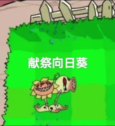 小表弟大表哥黑暗阳光植物第七集