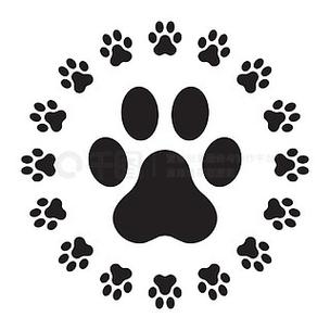猫爪符号大全可复制