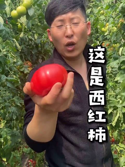 微博视频保存