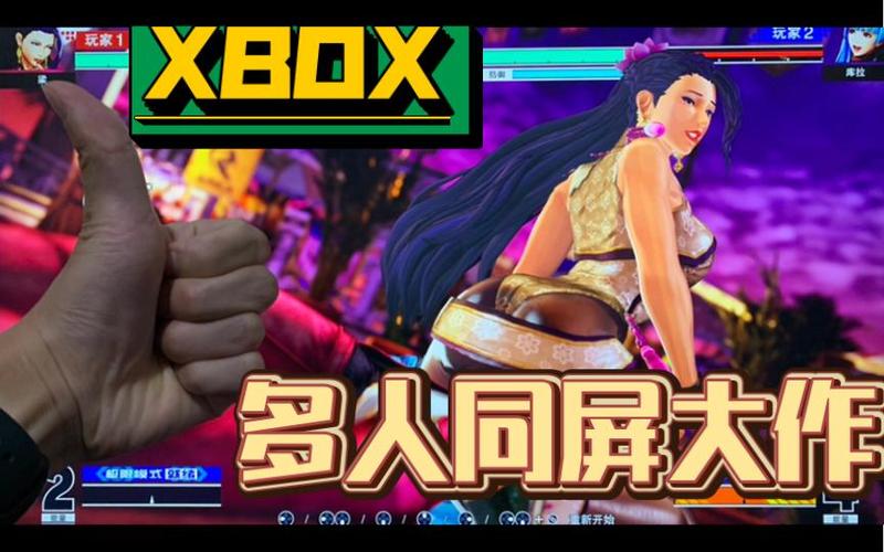 多人同屏电脑游戏截图