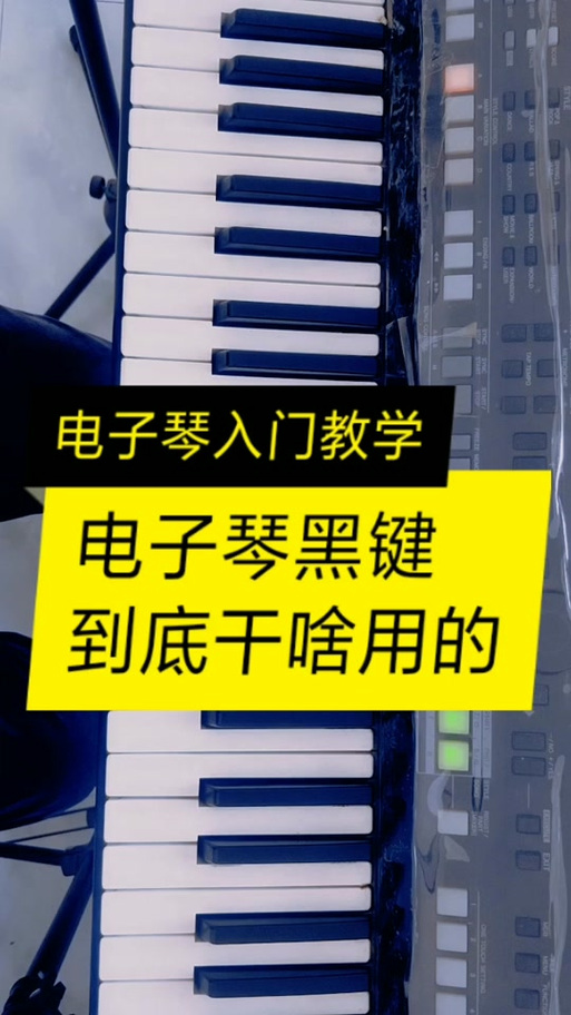 电子琴上的黑键是什么意思图标