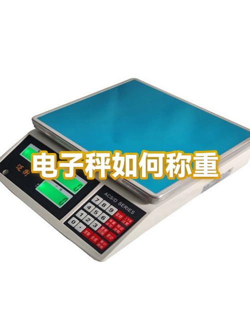 300公斤的电子秤多少钱一台