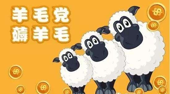 薅羊毛多少金额可以立案