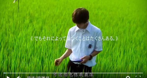 莉莉的周末