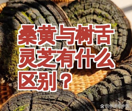 那种灵芝最好截图