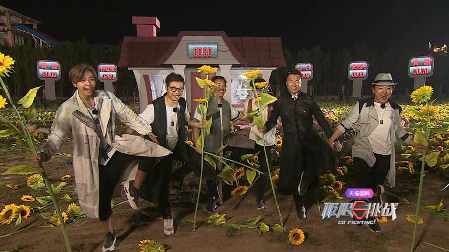 极限挑战烧脑合集截图