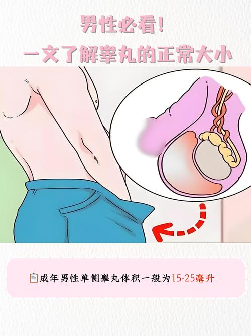 furry睾丸多长多粗图片