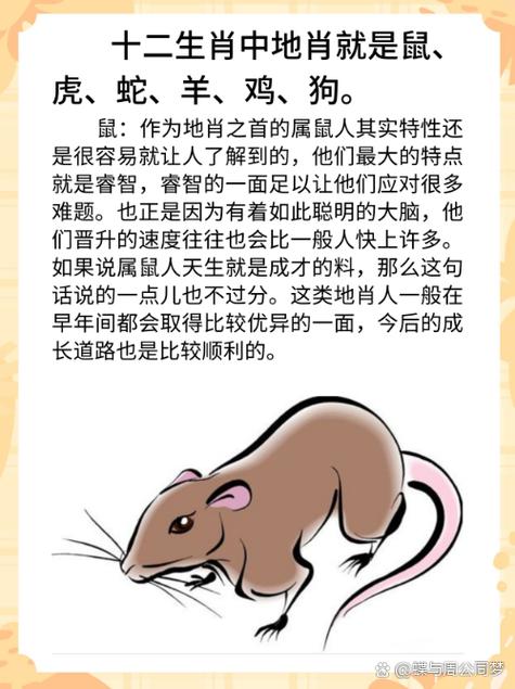 地肖是指哪6个生肖正确答案