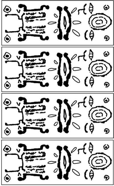 猫字加特殊符号