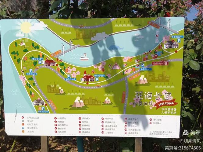 完美世界手游花海在哪里截图