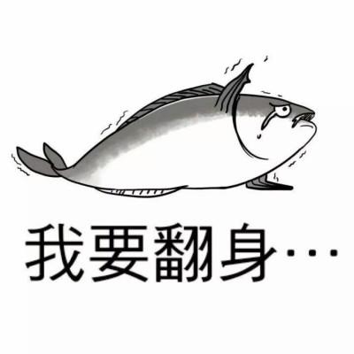 咸鱼无法对话啥意思