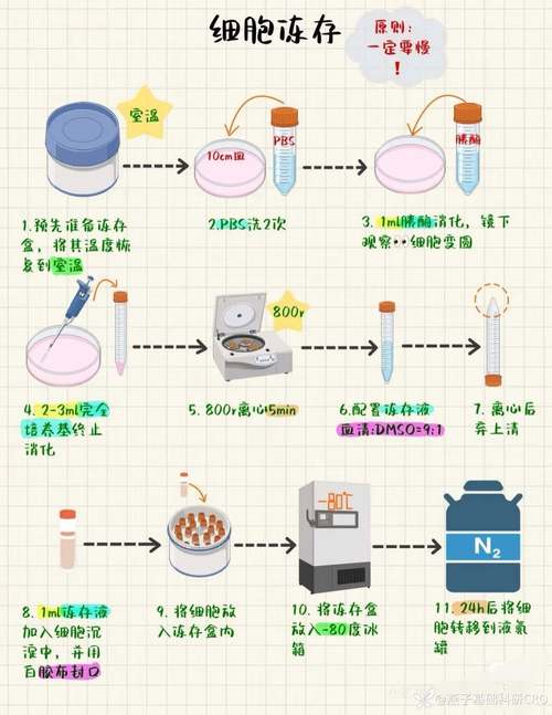 任务栏经常假死为什么截图