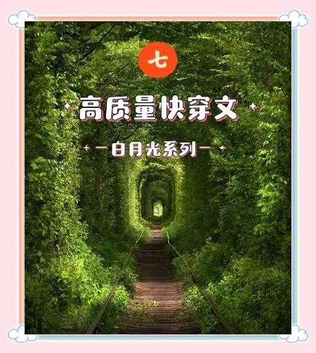 快穿女配男主的白月光图标
