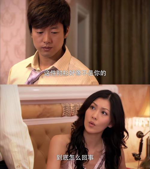 我的总裁老婆小猪大侠