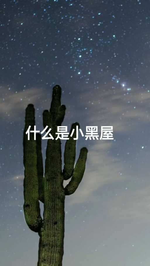 抖音说我被关进小黑屋是什么意思