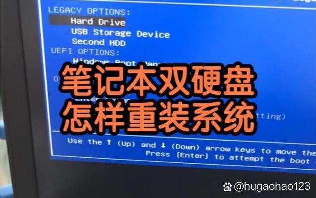 安装了两块硬盘分别都有系统截图