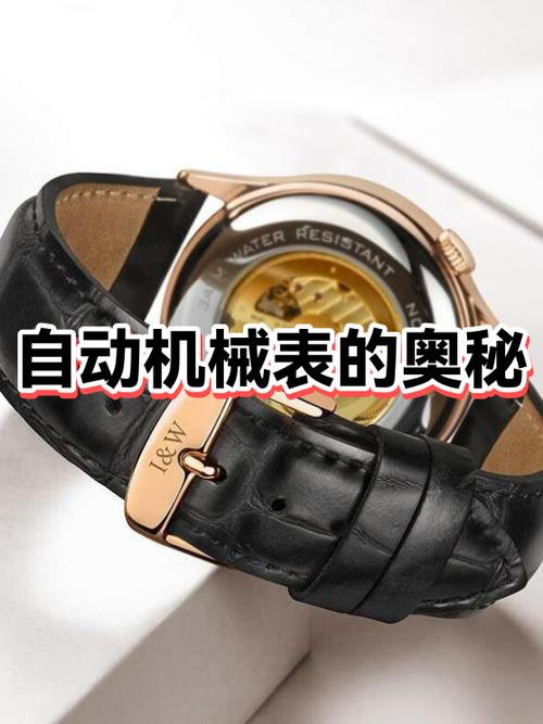 机械表能量显示在哪里截图