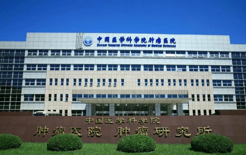 全国肿瘤医院排名前十游戏截图
