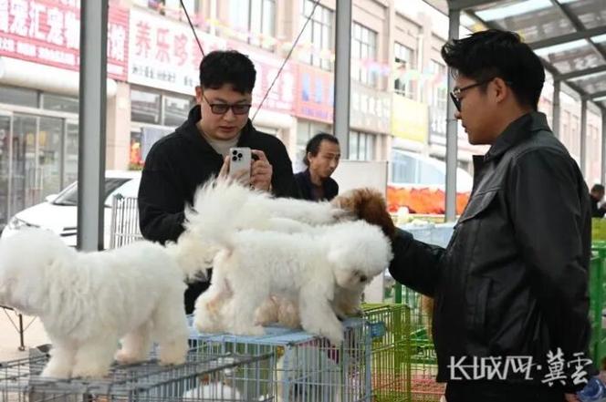 方舟如何让宠物不跟着截图