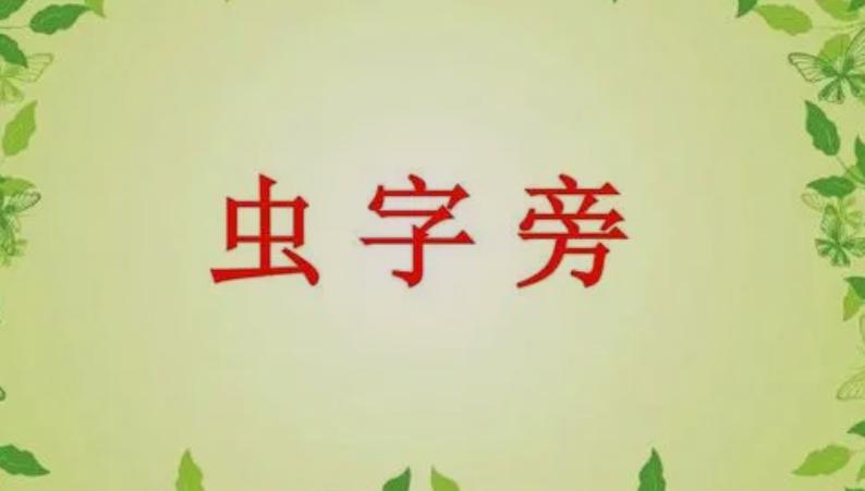 虫字旁的字跟什么有关系