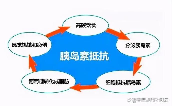 胰岛抵抗如何逆转