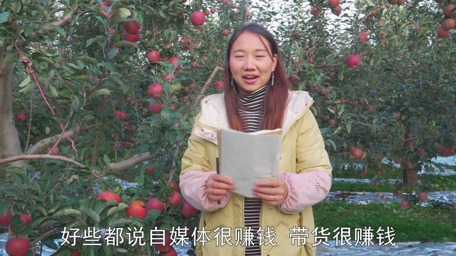 果果能变现吗