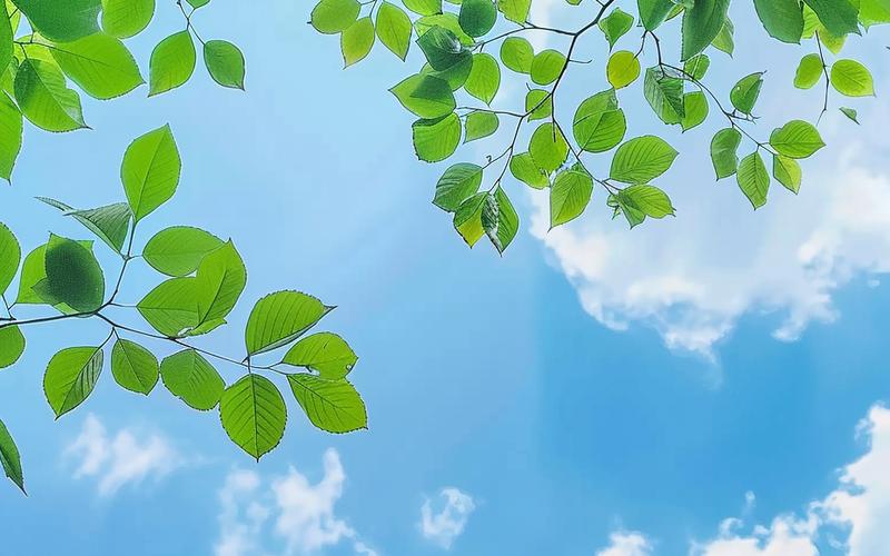 夏天唯美短视频