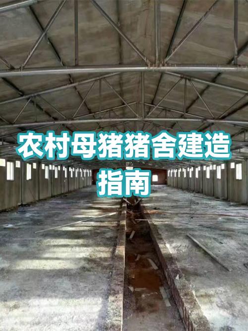 养10头母猪简单猪舍