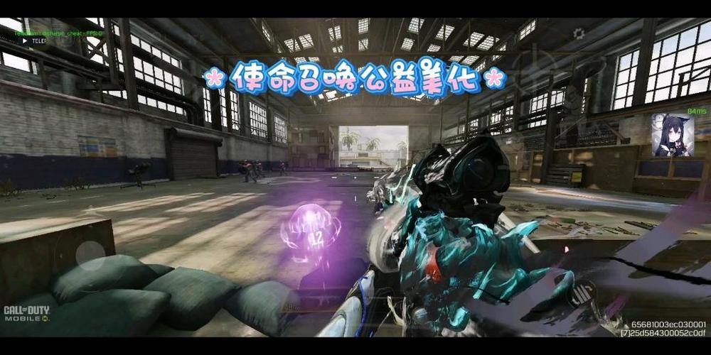 使命召唤美化包一键全皮肤