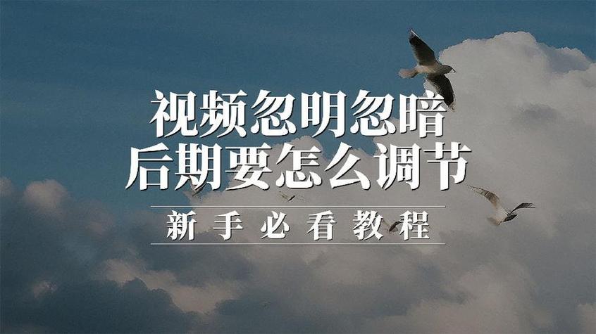 视频忽明忽暗怎么办