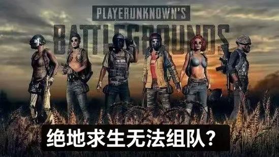 吃鸡组队有声音,进游戏没声音