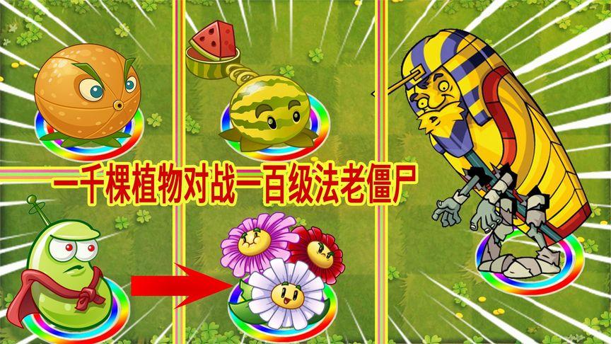 植物大战僵尸激光豆vs充能柚子